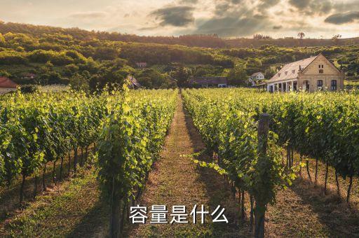 容量是什么意思，容量是什么