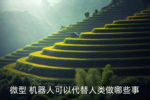 微型 機(jī)器人可以代替人類做哪些事