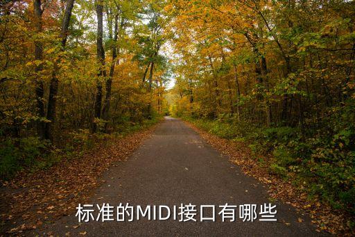 標(biāo)準(zhǔn)的MIDI接口有哪些