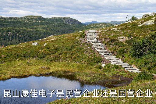 昆山康佳電子是民營企業(yè)還是國營企業(yè)