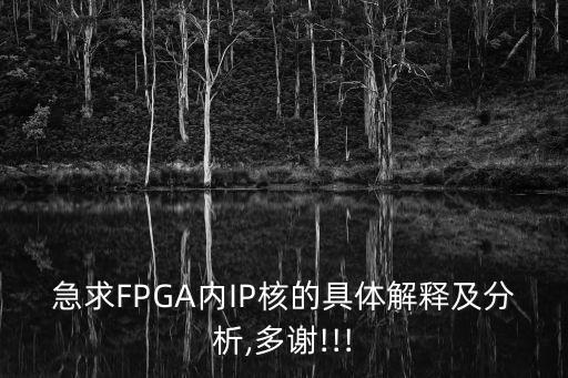 急求FPGA內IP核的具體解釋及分析,多謝!!!