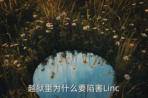 越獄里為什么要陷害Linc