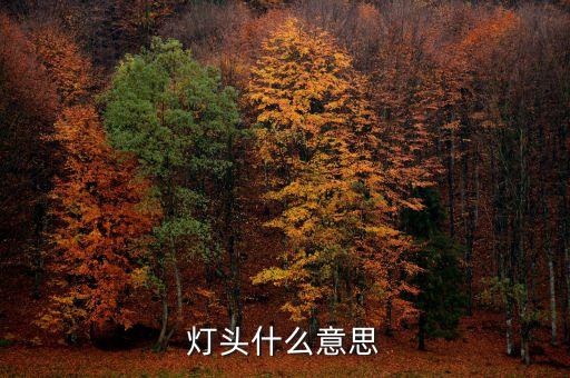 燈頭，安規(guī)標(biāo)準(zhǔn)里燈頭是指燈具的那個部位