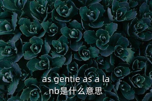 as gentie as a lanb是什么意思