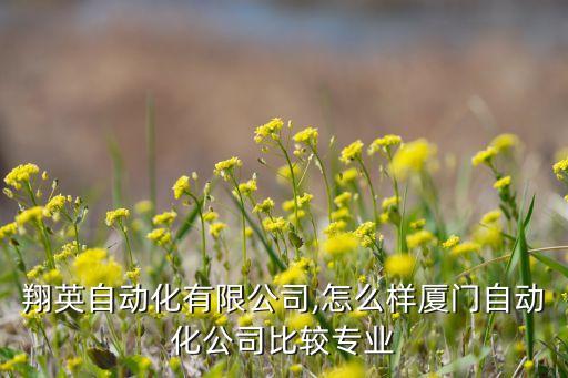 廈門翔英自動化有限公司,怎么樣廈門自動化公司比較專業(yè)?