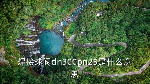 焊接球閥dn300pn25是什么意思