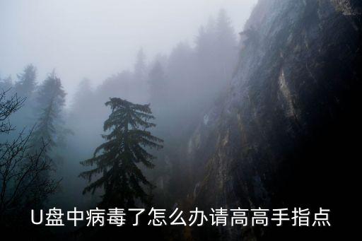 u盤有病毒怎么辦，U盤感染了病毒怎么辦啊