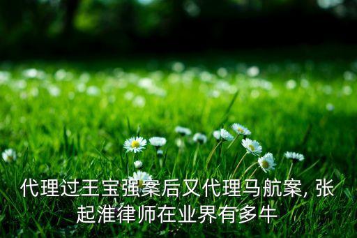 代理過王寶強案后又代理馬航案, 張起淮律師在業(yè)界有多牛