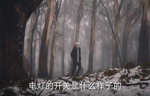 電燈開關(guān)，怎么方法區(qū)分燈是哪個(gè)開關(guān)的