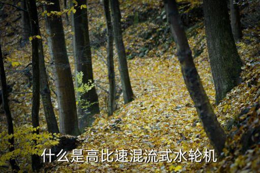 什么是高比速混流式水輪機(jī)