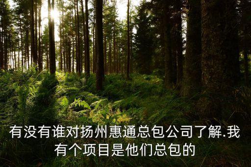有沒有誰對(duì)揚(yáng)州惠通總包公司了解.我有個(gè)項(xiàng)目是他們總包的