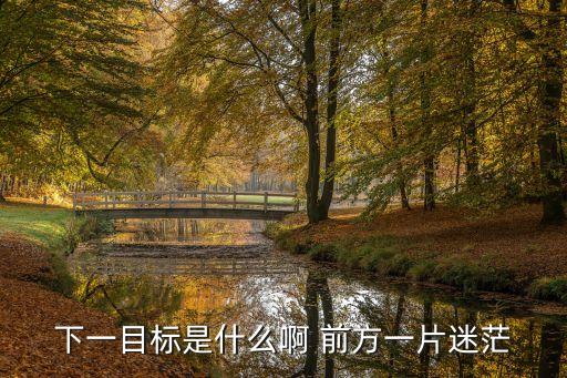 下一個目標，下一目標是什么啊 前方一片迷茫