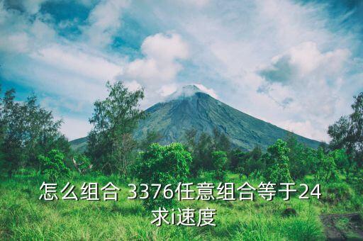 怎么組合 3376任意組合等于24 求i速度