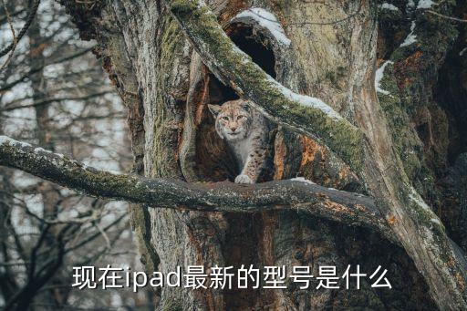 現(xiàn)在ipad最新的型號是什么