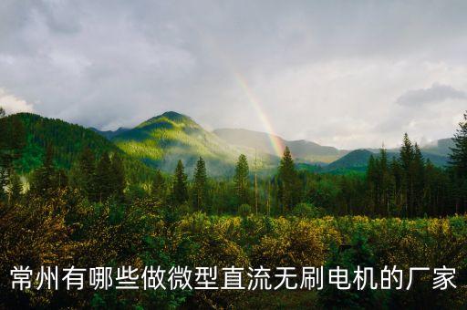 常州有哪些做微型直流無刷電機的廠家