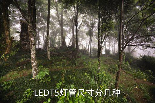 t5燈管尺寸，t5燈管都什么樣的 多少w多長