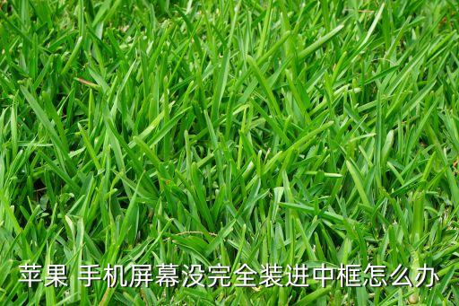蘋果 手機(jī)屏幕沒(méi)完全裝進(jìn)中框怎么辦