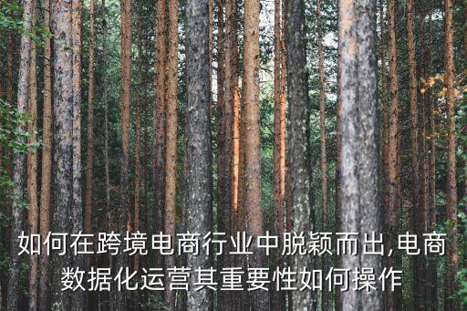 電商平臺數(shù)據(jù)運營,跨境電商平臺運營有何不同?