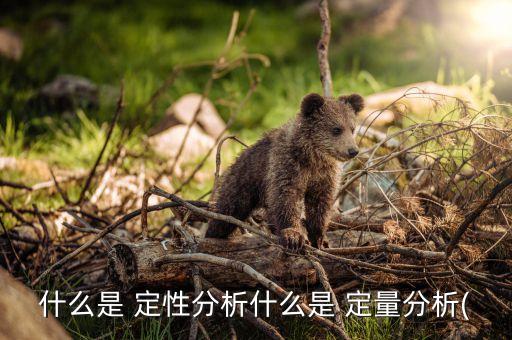 定量數(shù)據(jù)和定性數(shù)據(jù),數(shù)據(jù)類型都可以分為定量數(shù)據(jù)和定性數(shù)據(jù)