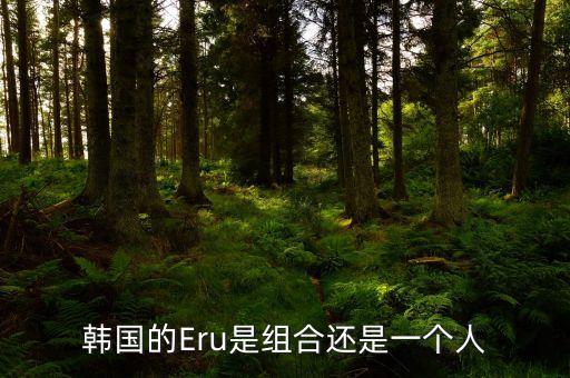 韓國(guó)的Eru是組合還是一個(gè)人