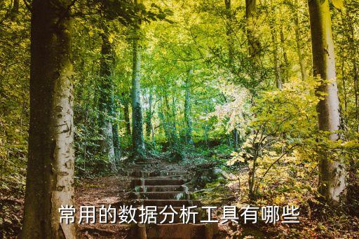 常用的數(shù)據(jù)分析工具有哪些