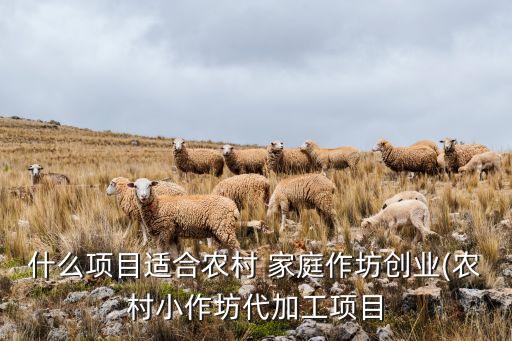 家庭小型自動(dòng)化設(shè)備,小型自動(dòng)化殺雞100只設(shè)備