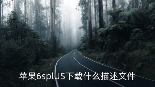 蘋果6splUS下載什么描述文件