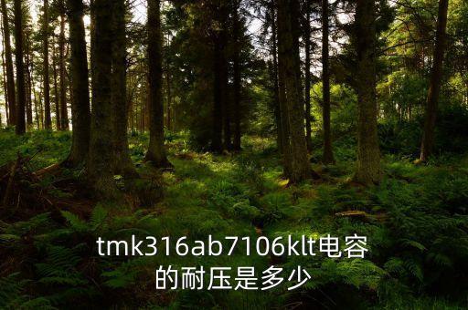 太誘，太誘電容怎么看是X5R還是X7R