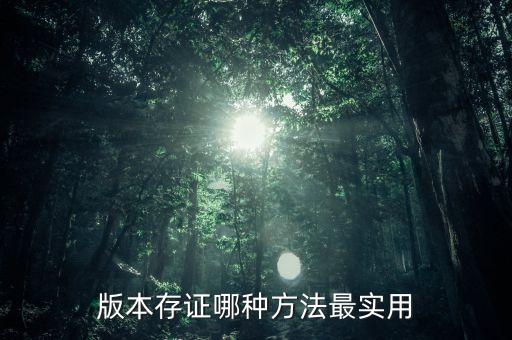 版本存證哪種方法最實用