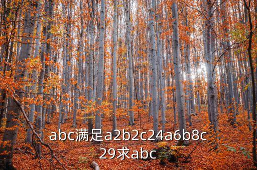 abc滿足a2b2c24a6b8c29求abc