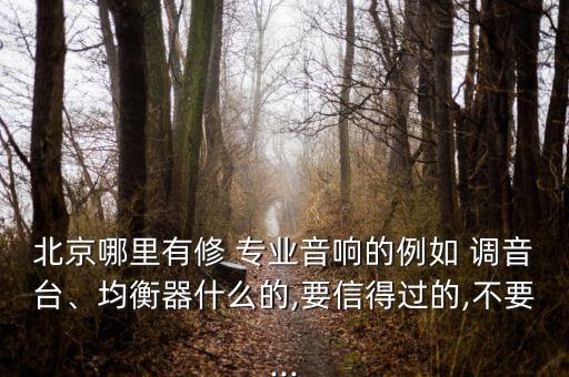 北京哪里有修 專業(yè)音響的例如 調(diào)音臺、均衡器什么的,要信得過的,不要...