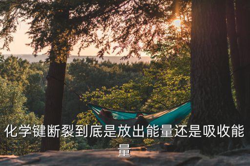 斷鍵,氮?dú)庵心舒I怎么斷鍵首先放熱和吸熱!