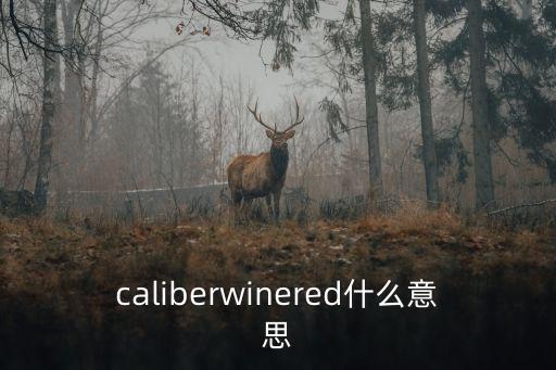 caliber，calibio中文是什么字