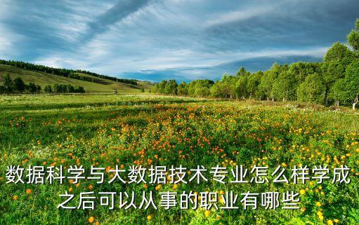 數(shù)據(jù)科學(xué)與大數(shù)據(jù)技術(shù)專業(yè)怎么樣學(xué)成之后可以從事的職業(yè)有哪些