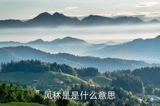 風(fēng)秫是是什么意思