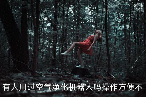 有人用過空氣凈化機器人嗎操作方便不