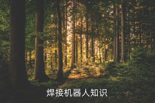 焊接機(jī)器人知識(shí)