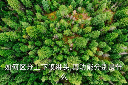 如何區(qū)分上下噴淋頭,其功能分別是什么