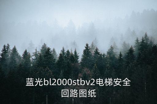 藍(lán)光bl2000stbv2電梯安全回路圖紙