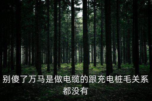 萬(wàn)馬充電樁，萬(wàn)馬股份是不是題材股