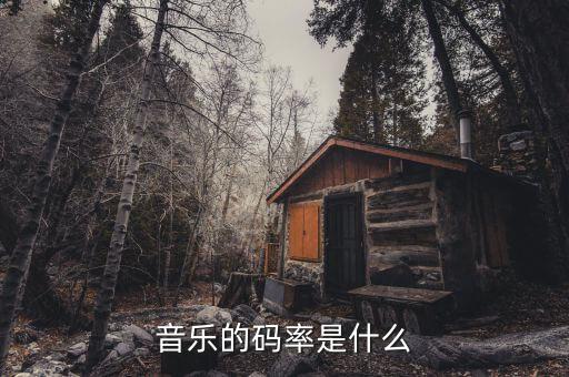 音樂的碼率是什么