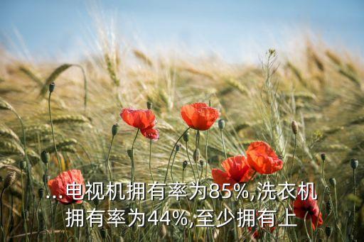 ...電視機擁有率為85%,洗衣機擁有率為44%,至少擁有上