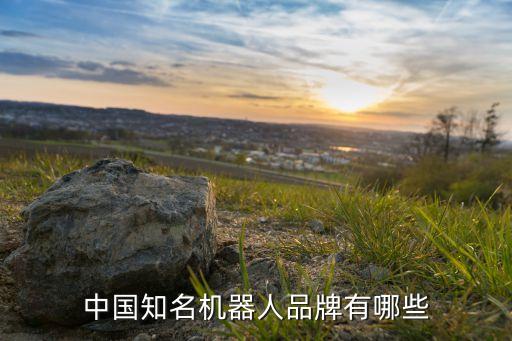 中國知名機器人品牌有哪些