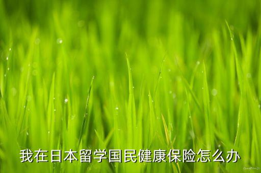 國民健康，NHI國民健康保險