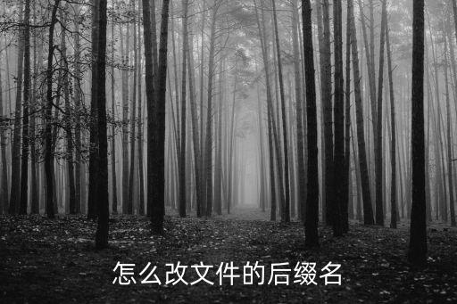 怎么改文件的后綴名