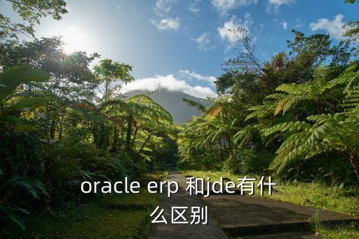oracle erp 和jde有什么區(qū)別