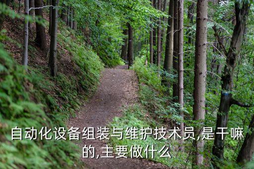 自動(dòng)化設(shè)備組裝與維護(hù)技術(shù)員,是干嘛的,主要做什么