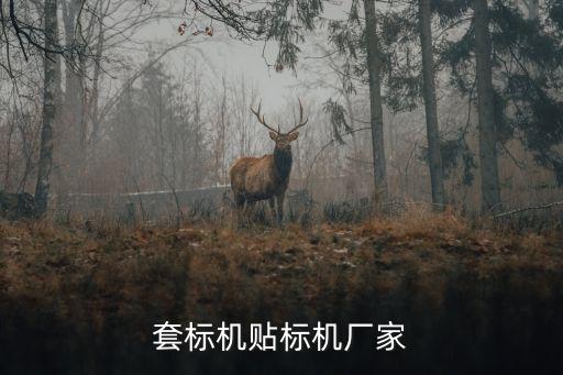 套標(biāo)機(jī)貼標(biāo)機(jī)廠家