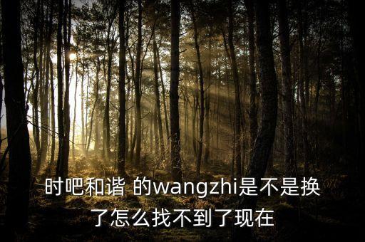 wangzhi，QQ的官方網(wǎng)址是哪些
