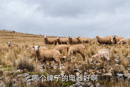 家電品牌排行榜，廚衛(wèi)電器十大排名